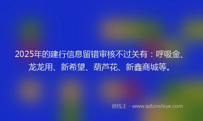 2025年的建行信息留错审核不过关有：呼吸金、龙龙用、新希望、葫芦花、新鑫商城等。