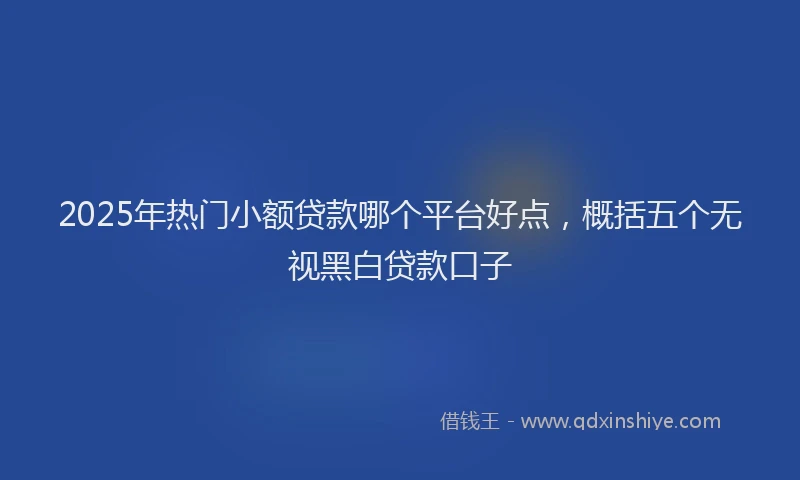 2025年热门小额贷款哪个平台好点，概括五个无视黑白贷款口子