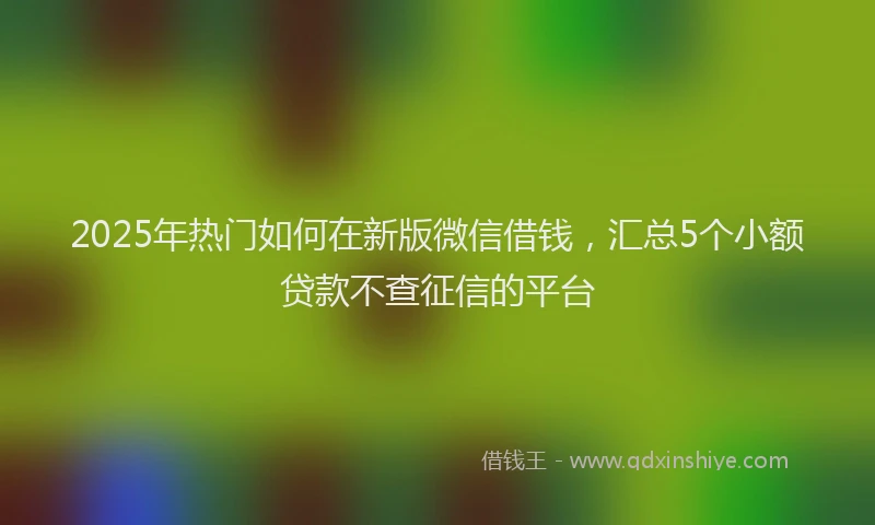 2025年热门如何在新版微信借钱，汇总5个小额贷款不查征信的平台
