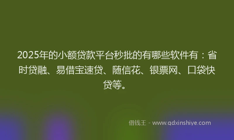 2025年的小额贷款平台秒批的有哪些软件有：省时贷融、易借宝速贷、随信花、银票网、口袋快贷等。
