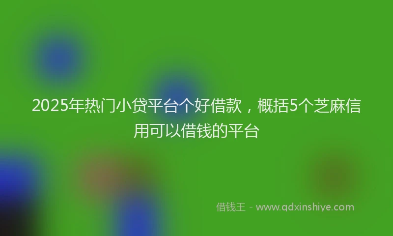 2025年热门小贷平台个好借款，概括5个芝麻信用可以借钱的平台