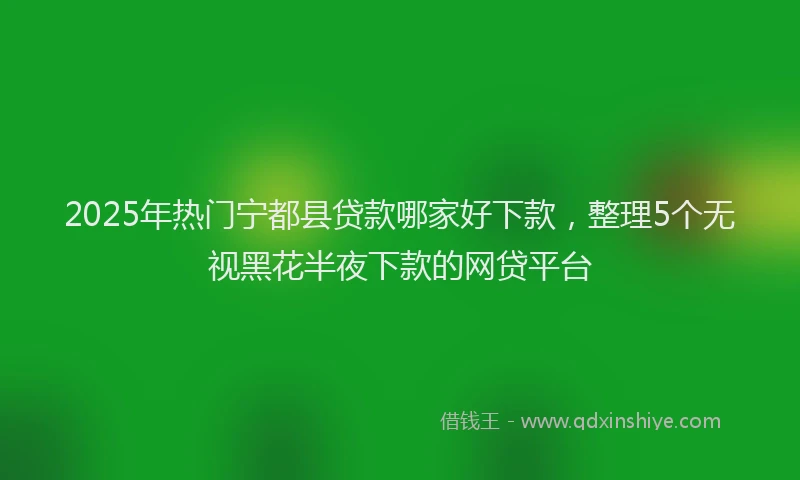 2025年热门宁都县贷款哪家好下款，整理5个无视黑花半夜下款的网贷平台