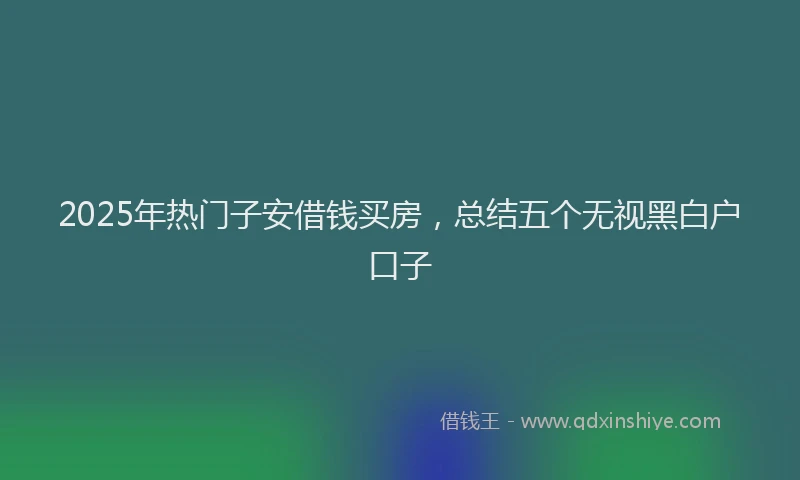 2025年热门子安借钱买房，总结五个无视黑白户口子