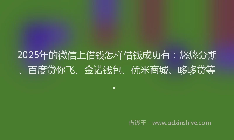 2025年的微信上借钱怎样借钱成功有：悠悠分期、百度贷你飞、金诺钱包、优米商城、哆哆贷等。