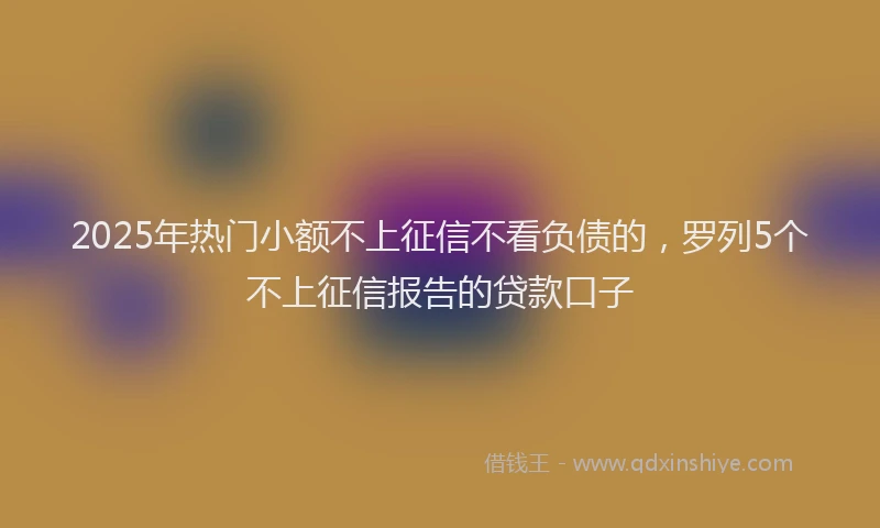 2025年热门小额不上征信不看负债的，罗列5个不上征信报告的贷款口子