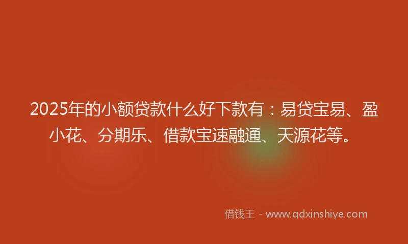 2025年的小额贷款什么好下款有：易贷宝易、盈小花、分期乐、借款宝速融通、天源花等。