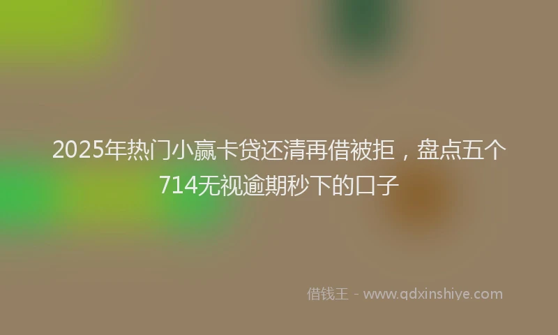 2025年热门小赢卡贷还清再借被拒，盘点五个714无视逾期秒下的口子