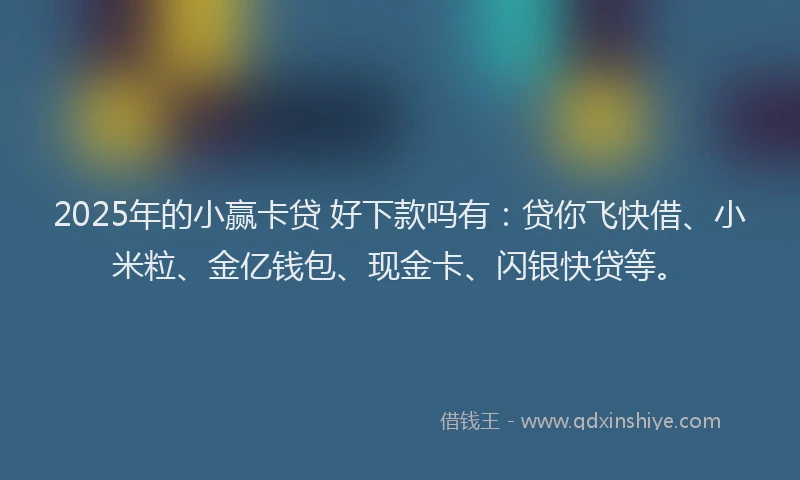 2025年的小赢卡贷 好下款吗有：贷你飞快借、小米粒、金亿钱包、现金卡、闪银快贷等。