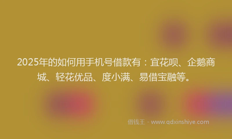 2025年的如何用手机号借款有：宜花呗、企鹅商城、轻花优品、度小满、易借宝融等。