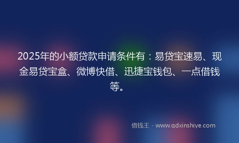 2025年的小额贷款申请条件有：易贷宝速易、现金易贷宝盒、微博快借、迅捷宝钱包、一点借钱等。
