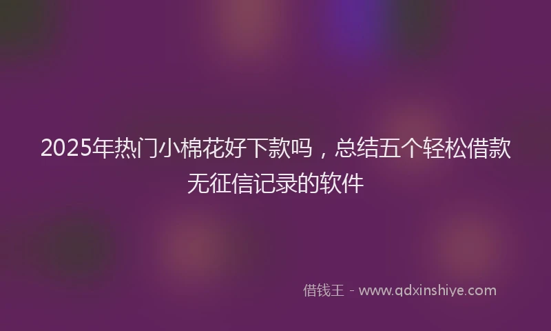 2025年热门小棉花好下款吗，总结五个轻松借款无征信记录的软件