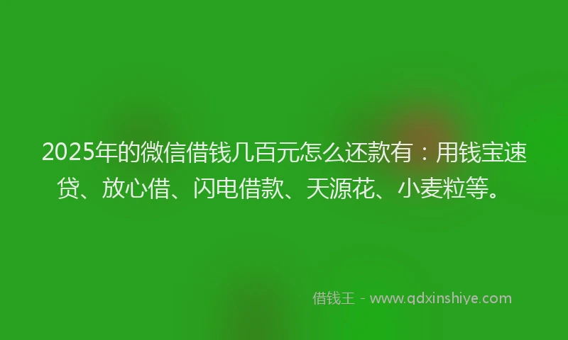 2025年的微信借钱几百元怎么还款有：用钱宝速贷、放心借、闪电借款、天源花、小麦粒等。