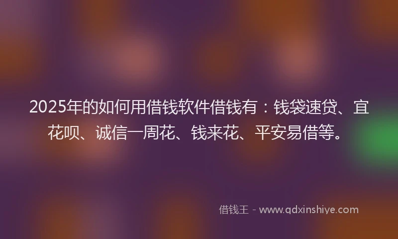 2025年的如何用借钱软件借钱有：钱袋速贷、宜花呗、诚信一周花、钱来花、平安易借等。