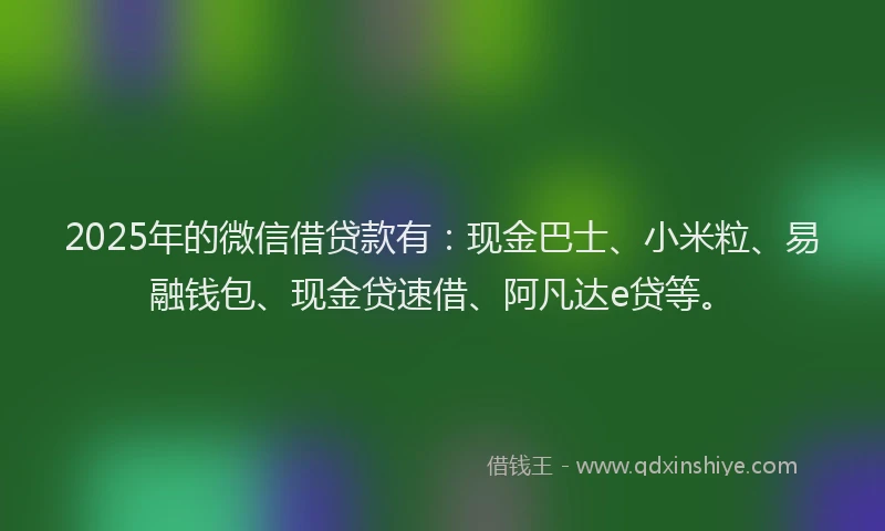 2025年的微信借贷款有：现金巴士、小米粒、易融钱包、现金贷速借、阿凡达e贷等。