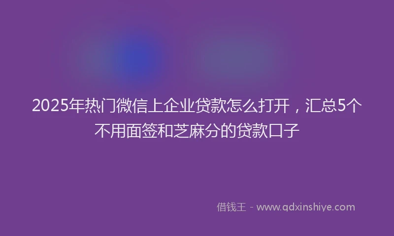 2025年热门微信上企业贷款怎么打开，汇总5个不用面签和芝麻分的贷款口子
