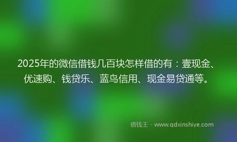 2025年的微信借钱几百块怎样借的有：壹现金、优速购、钱贷乐、蓝鸟信用、现金易贷通等。