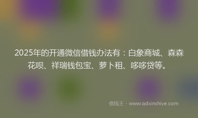 2025年的开通微信借钱办法有：白象商城、森森花呗、祥瑞钱包宝、萝卜租、哆哆贷等。
