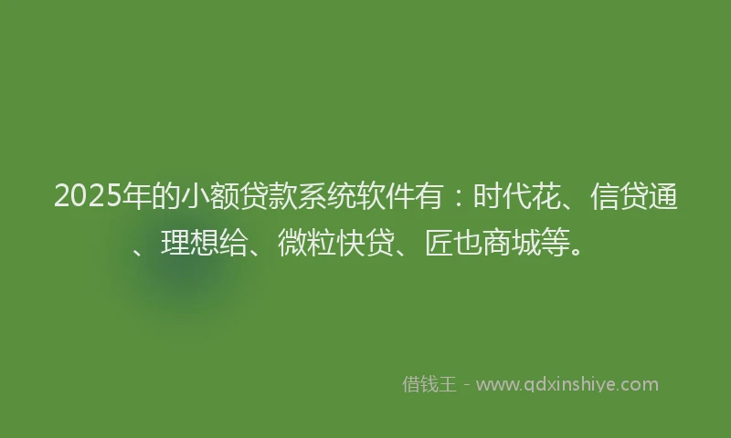 2025年的小额贷款系统软件有：时代花、信贷通、理想给、微粒快贷、匠也商城等。