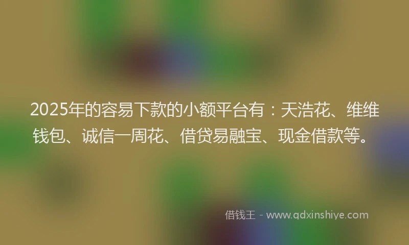 2025年的容易下款的小额平台有：天浩花、维维钱包、诚信一周花、借贷易融宝、现金借款等。
