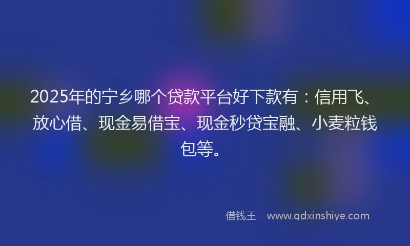 2025年的宁乡哪个贷款平台好下款有：信用飞、放心借、现金易借宝、现金秒贷宝融、小麦粒钱包等。