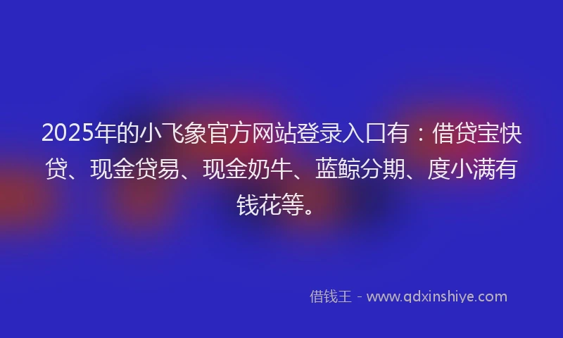 2025年的小飞象官方网站登录入口有：借贷宝快贷、现金贷易、现金奶牛、蓝鲸分期、度小满有钱花等。