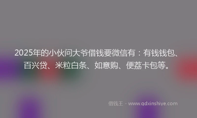 2025年的小伙问大爷借钱要微信有：有钱钱包、百兴贷、米粒白条、如意购、便荔卡包等。