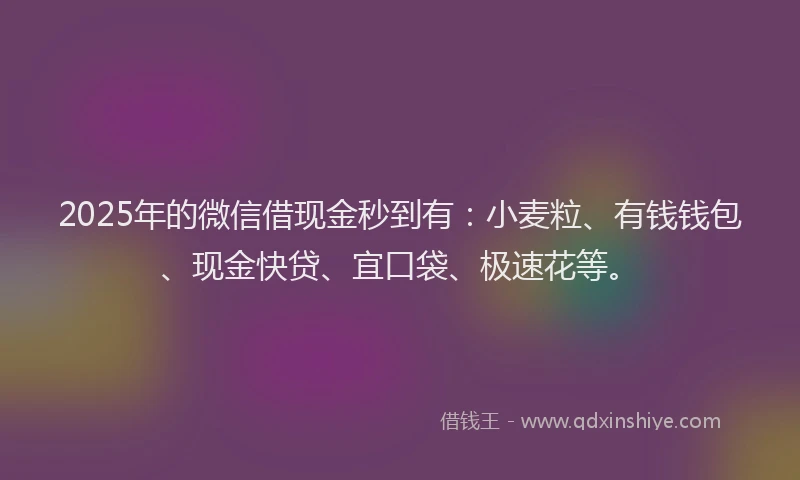 2025年的微信借现金秒到有：小麦粒、有钱钱包、现金快贷、宜口袋、极速花等。