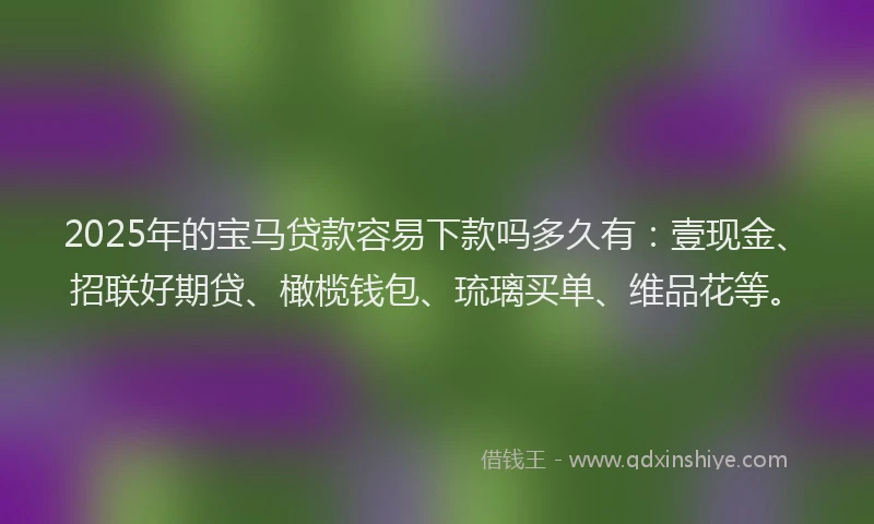 2025年的宝马贷款容易下款吗多久有：壹现金、招联好期贷、橄榄钱包、琉璃买单、维品花等。
