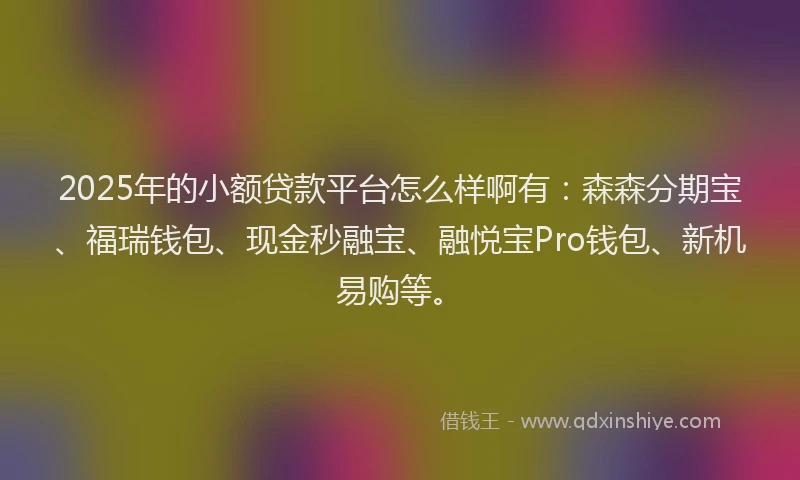 2025年的小额贷款平台怎么样啊有：森森分期宝、福瑞钱包、现金秒融宝、融悦宝Pro钱包、新机易购等。