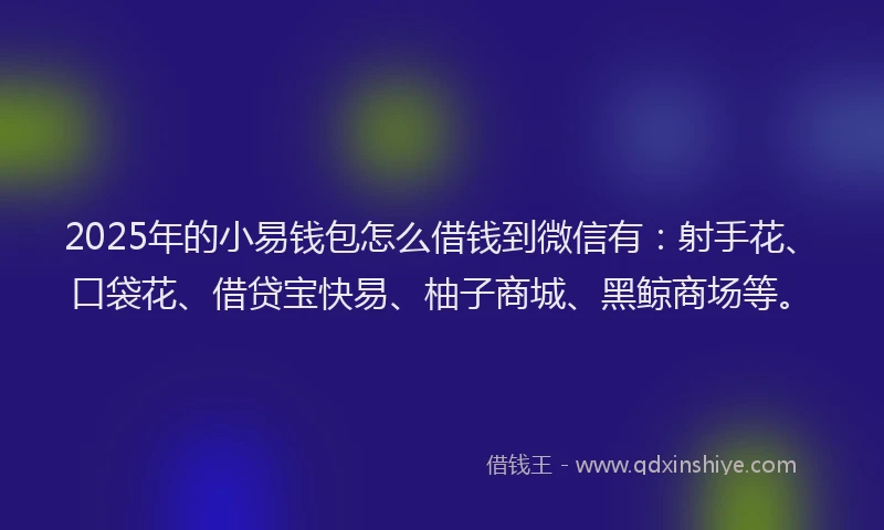 2025年的小易钱包怎么借钱到微信有：射手花、口袋花、借贷宝快易、柚子商城、黑鲸商场等。