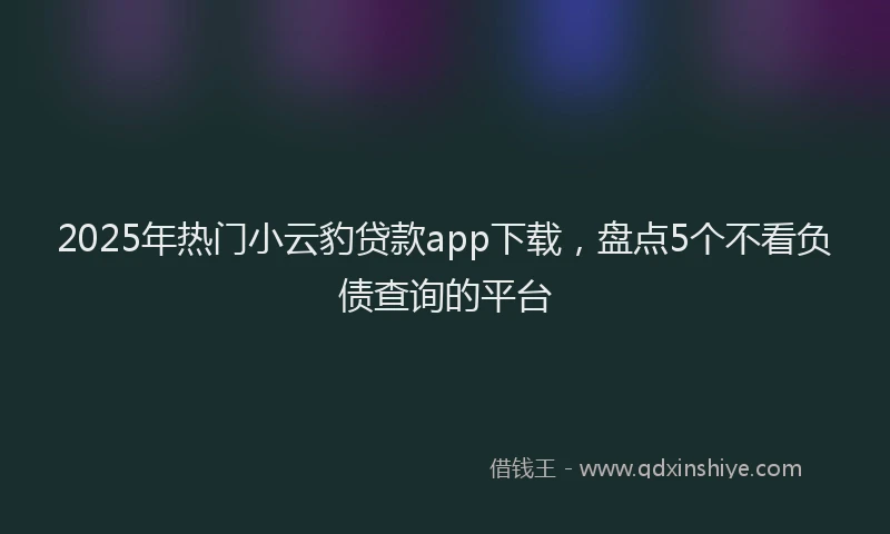 2025年热门小云豹贷款app下载，盘点5个不看负债查询的平台
