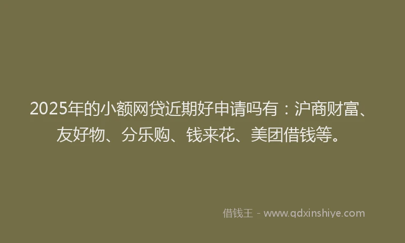 2025年的小额网贷近期好申请吗有：沪商财富、友好物、分乐购、钱来花、美团借钱等。
