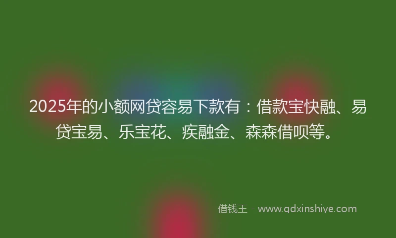 2025年的小额网贷容易下款有：借款宝快融、易贷宝易、乐宝花、疾融金、森森借呗等。