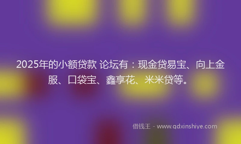 2025年的小额贷款 论坛有：现金贷易宝、向上金服、口袋宝、鑫享花、米米贷等。
