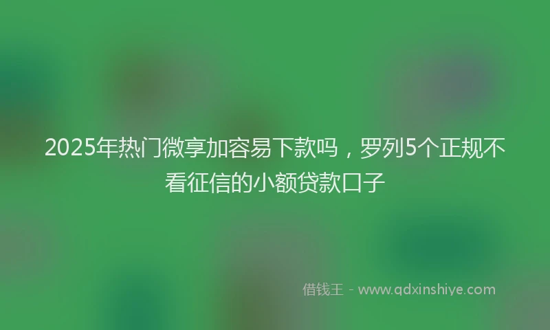 2025年热门微享加容易下款吗，罗列5个正规不看征信的小额贷款口子