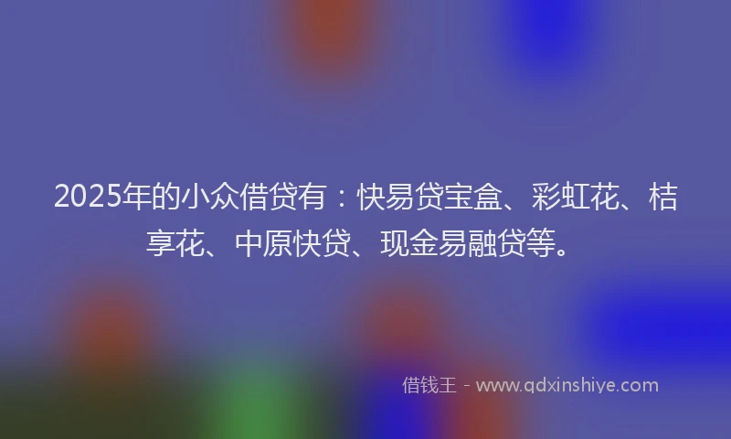 2025年的小众借贷有：快易贷宝盒、彩虹花、桔享花、中原快贷、现金易融贷等。