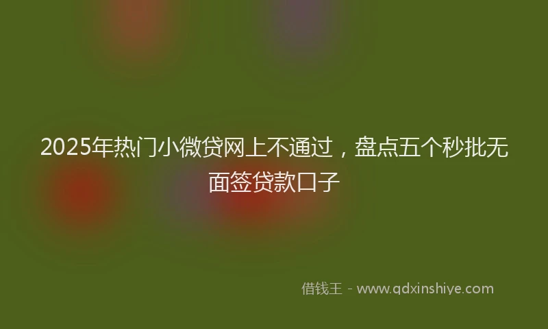 2025年热门小微贷网上不通过，盘点五个秒批无面签贷款口子