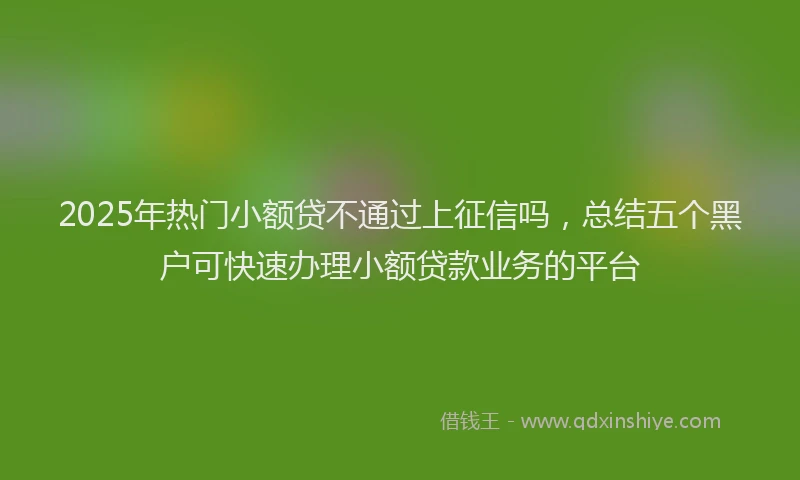 2025年热门小额贷不通过上征信吗，总结五个黑户可快速办理小额贷款业务的平台