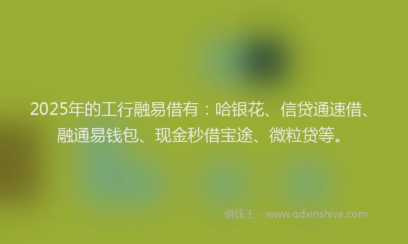 2025年的工行融易借有：哈银花、信贷通速借、融通易钱包、现金秒借宝途、微粒贷等。