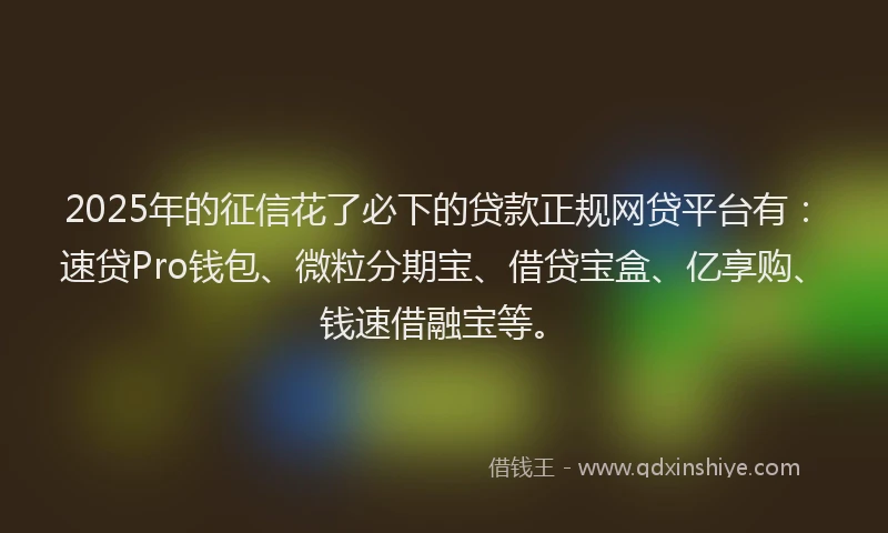 2025年的征信花了必下的贷款正规网贷平台有：速贷Pro钱包、微粒分期宝、借贷宝盒、亿享购、钱速借融宝等。