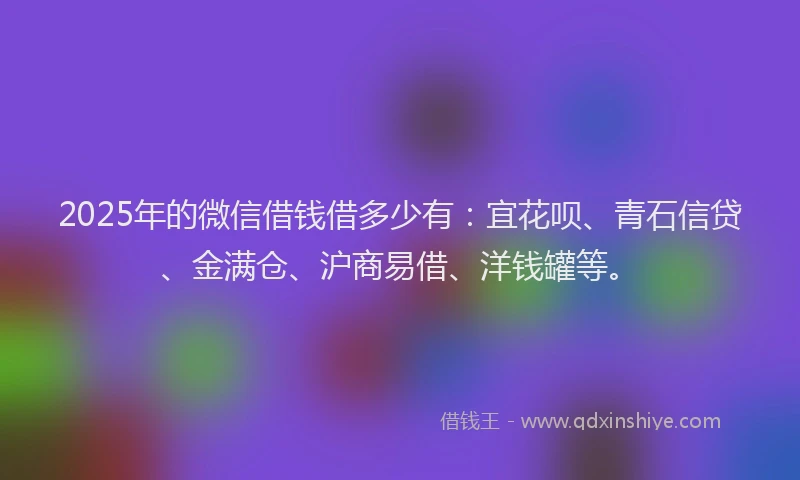 2025年的微信借钱借多少有：宜花呗、青石信贷、金满仓、沪商易借、洋钱罐等。