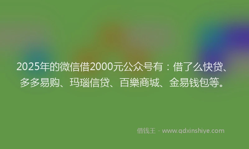2025年的微信借2000元公众号有：借了么快贷、多多易购、玛瑙信贷、百樂商城、金易钱包等。