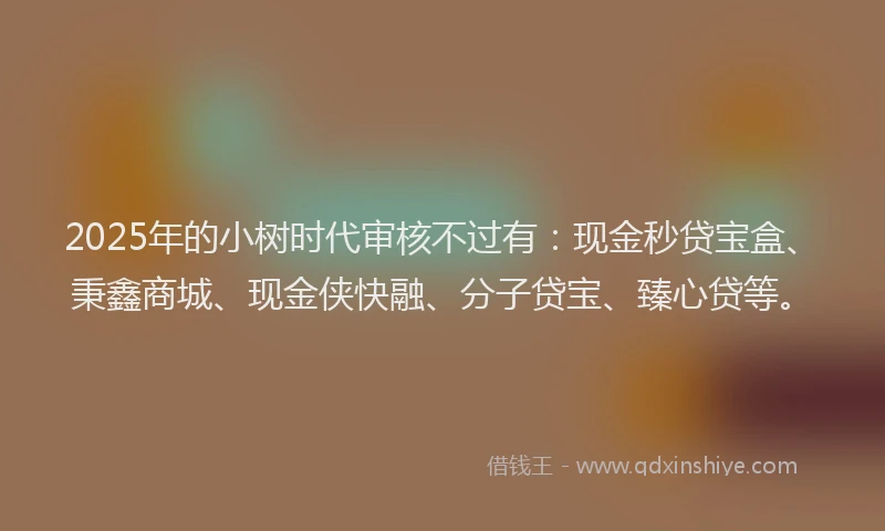 2025年的小树时代审核不过有：现金秒贷宝盒、秉鑫商城、现金侠快融、分子贷宝、臻心贷等。