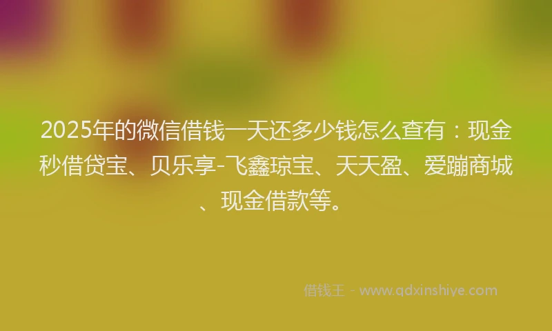 2025年的微信借钱一天还多少钱怎么查有：现金秒借贷宝、贝乐享-飞鑫琼宝、天天盈、爱蹦商城、现金借款等。