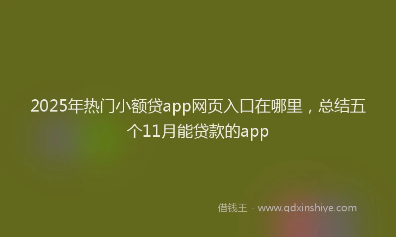 2025年热门小额贷app网页入口在哪里，总结五个11月能贷款的app