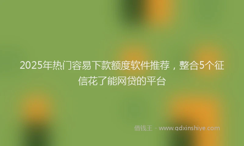 2025年热门容易下款额度软件推荐，整合5个征信花了能网贷的平台