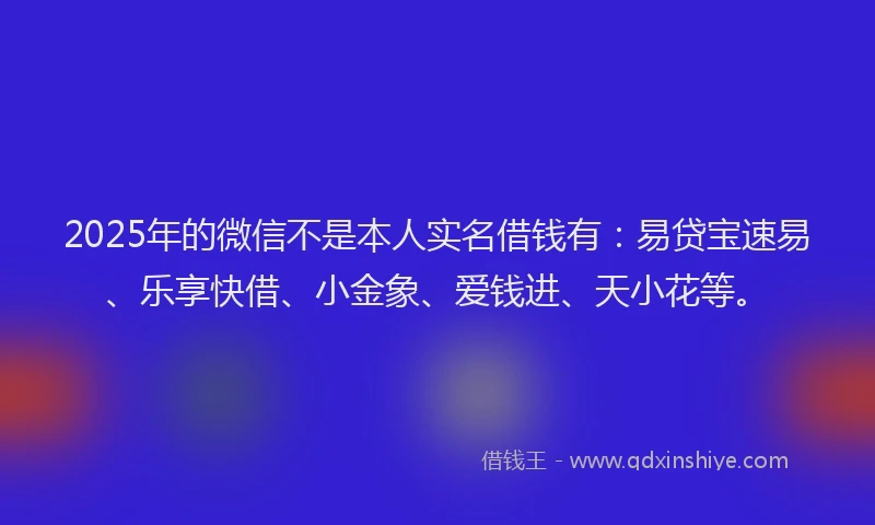2025年的微信不是本人实名借钱有：易贷宝速易、乐享快借、小金象、爱钱进、天小花等。