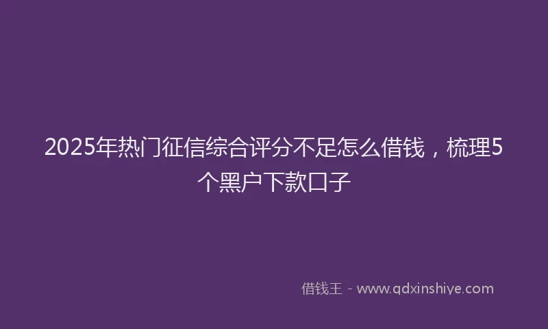 2025年热门征信综合评分不足怎么借钱，梳理5个黑户下款口子