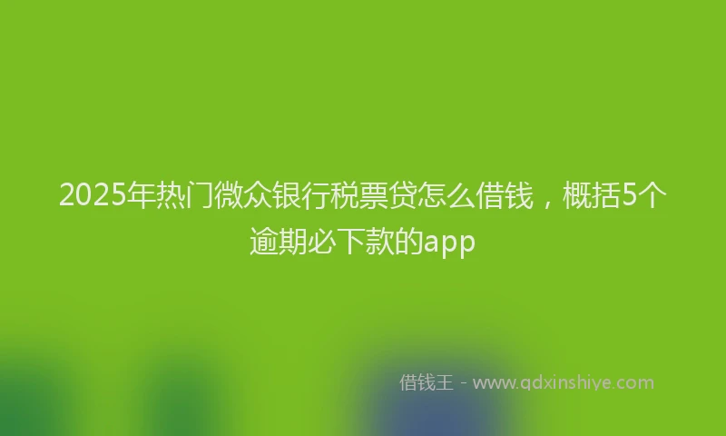 2025年热门微众银行税票贷怎么借钱，概括5个逾期必下款的app