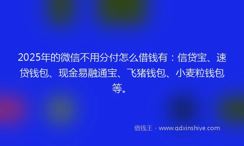2025年的微信不用分付怎么借钱有：信贷宝、速贷钱包、现金易融通宝、飞猪钱包、小麦粒钱包等。
